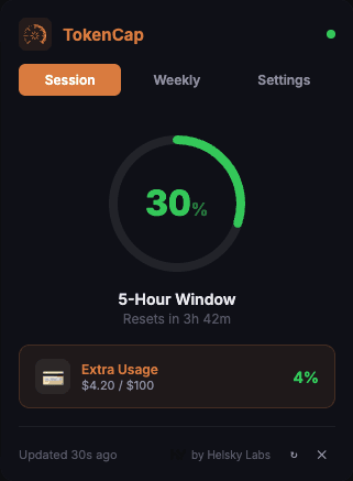 TokenCap session view showing 30% usage with gauge